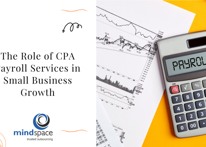 The Role of CPA Payroll Services in Small Business Growth