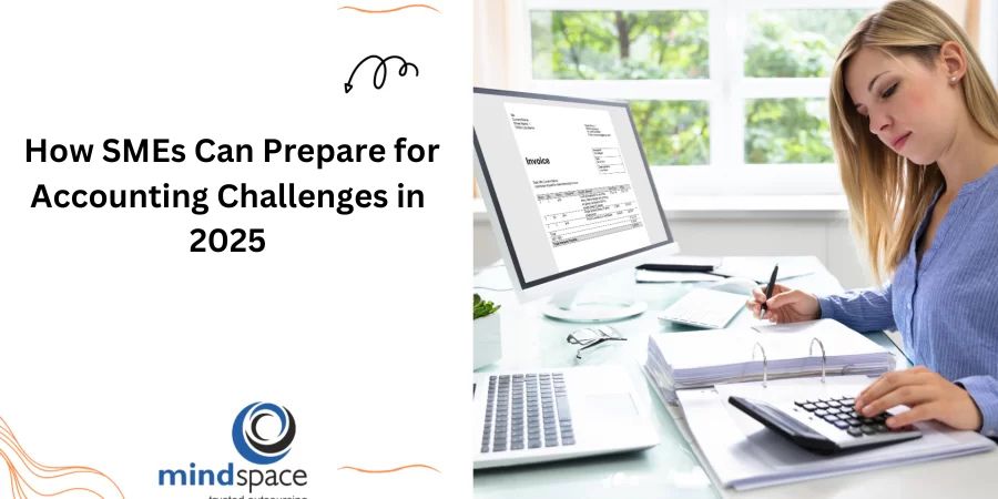 How Smes Can Prepare For Accounting Challenges In 2025