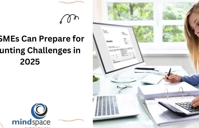 How SMEs Can Prepare for Accounting Challenges in 2025